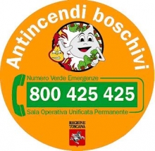 N. Verde 800 425 425